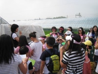  상세 > 포토갤러리 > 참여마당 > 계룡시 농업기술센터