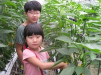  상세 > 포토갤러리 > 참여마당 > 계룡시 농업기술센터