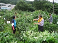  상세 > 계룡사랑상품권 > 경제/교통 > 계룡시청