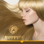 검색 - 미용구인구직은 헤어인잡 hairinjob.com