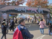 [HanCinema's Travel] "Mapo Ferry Shrimp Festival 2015" @ HanCinema :: The Korean Movie and Drama Database [HanCinema's Travel]...