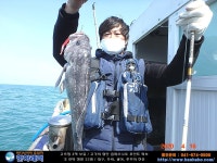 (西)서해조황 - 2020년 4월 16일 << 한하호 >> 우럭 조황입니다.
