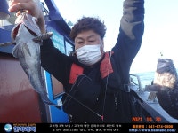(西)서해조황 - 2021년 10월 30일 > 우럭 조황입니다.