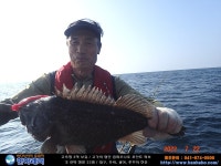 (西)서해조황 - 2022년 7월 22일 > 우럭 조황입니다.