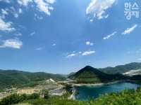 무릉계곡 절경과 보랏빛 정원… 자연 벗삼아 노닐러 동해로 떠나볼까