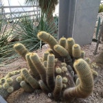 :::::::::: 꽃이 있는 삶 - 한택식물원 ::::::::::