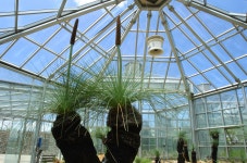 비전 – 한택식물원