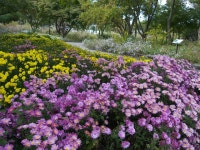 축제안내_2017 – 한택식물원