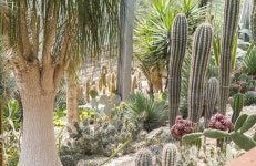 중남미온실 – 한택식물원