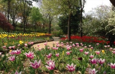 사계정원 – 한택식물원