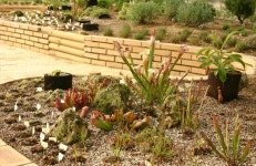 허브식충식물원 – 한택식물원