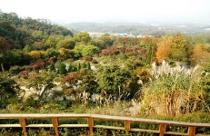 전망대 – 한택식물원