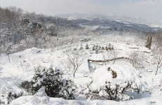 전망대 – 한택식물원