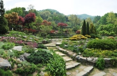 암석원 – 한택식물원