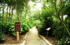 약용식물원 – 한택식물원