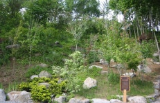 희귀식물원 – 한택식물원