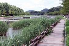 마이트립플래너(일정표) | 리조트 스토리 | Hanwha Resorts 서현민 지리산 - 한화리조트 마이트립플래너