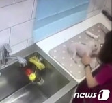 해피펫 애견미용사에게 학대 받고 죽은 반려견 논란