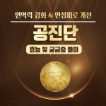 면역공방로얄대중탕 | 면역력 강화 & 만성피로 개선, 공진단 효능 및 궁금증 풀이 - 힐팁 면역력 강화 & 만성피로 개선, 공진단 효능 및 궁금증 풀이