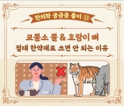 [한의학 궁금증 풀이] ㉝ 코뿔소 뿔 & 호랑이 뼈 절대 한약재로 쓰면 안 되는 이유 - 힐팁 [한의학 궁금증 풀이] ㉝ 코뿔소 뿔 & 호랑이 뼈  절대... 