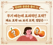 [한의학 궁금증 풀이] ㉞ 부기 빼는데 효과적인 호박? 채소 호박 vs 보석 호박 - 힐팁 [한의학 궁금증 풀이] ㉞ 부기 빼는데 효과적인 호박? 채소... 