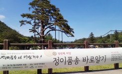 053_충청북도 보은군