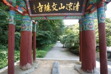 문화재이미지 | 고창 문수사 단풍나무 숲_입구 (촬영년도 : 2015년) 고창 문수사 단풍나무 숲_입구 (촬영년도 : 2015년)