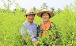 산수가족 > 농촌체험소개 > 도·농순환 > 홍성군 농업기술센터  산수가족 > 농촌체험소개 > 도·농순환 >