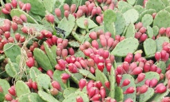 산수가족 > 농촌체험소개 > 도·농순환 > 홍성군 농업기술센터  산수가족 > 농촌체험소개 > 도·농순환 >