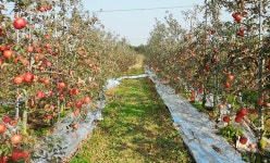 산수가족 > 농촌체험소개 > 도·농순환 > 홍성군 농업기술센터  산수가족 > 농촌체험소개 > 도·농순환 >