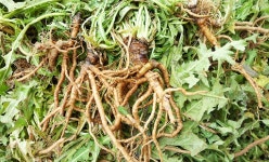 산수가족 > 농촌체험소개 > 도·농순환 > 홍성군 농업기술센터  산수가족 > 농촌체험소개 > 도·농순환 >