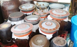 애란농장 > 농촌체험소개 > 도·농순환 > 홍성군 농업기술센터  애란농장 > 농촌체험소개 > 도·농순환 >