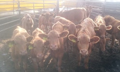 오누이농장 > 농촌체험소개 > 도·농순환 > 홍성군 농업기술센터  오누이농장 > 농촌체험소개 > 도·농순환 >