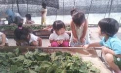 오누이농장 > 농촌체험소개 > 도·농순환 > 홍성군 농업기술센터  오누이농장 > 농촌체험소개 > 도·농순환 >