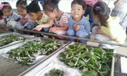 오누이농장 > 농촌체험소개 > 도·농순환 > 홍성군 농업기술센터  오누이농장 > 농촌체험소개 > 도·농순환 >