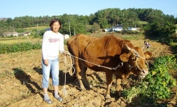 오누이농장 > 농촌체험소개 > 도·농순환 > 홍성군 농업기술센터  오누이농장 > 농촌체험소개 > 도·농순환 >