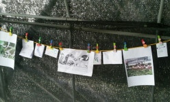 오누이농장 > 농촌체험소개 > 도·농순환 > 홍성군 농업기술센터  오누이농장 > 농촌체험소개 > 도·농순환 >