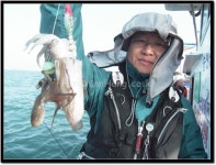 쭈.갑 먹물조황+ - 27일 홍원항 돌핀호 주꾸미 조황 ~