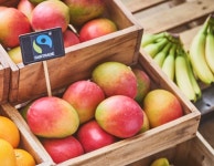 [Fairtrade News] 국제공정무역기구, 다큐멘터리 시리즈 ‘Farmers’ 연재 완료 [호텔앤레스토랑] [Fairtrade News] 국제공정무역기구... 