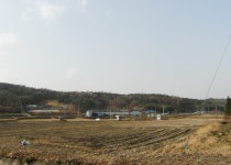 우리지역의 숨겨진 이야기/ 구항면 내현리 ‘황새울’ - 홍성신문 우리지역의 숨겨진 이야기/ 구항면 내현리 ‘황새울’