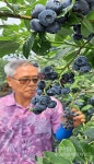 어린이 안전사고 염려됩니다 - 홍성신문 어린이 안전사고 염려됩니다