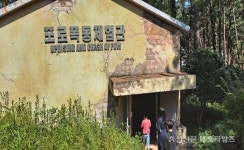 서부면 남당항로 노창섭 씨 자혼 - 홍성신문 서부면 남당항로 노창섭 씨 자혼