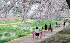 국민연금 Q&A/ 퇴사할 경우 회사에서 퇴직신고 처리 - 홍성신문 국민연금 Q&A/ 퇴사할 경우 회사에서 퇴직신고 처리