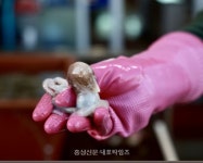 은하면 대천마을에 ‘들돌’ 설치 - 홍성신문 내포타임즈 은하면 대천마을에 ‘들돌’ 설치
