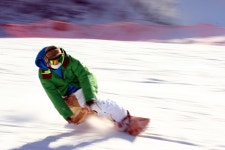 헝그리사진첩 - 지난주말 양지~