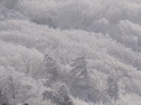 헝그리사진첩 - 여기 무주에요.