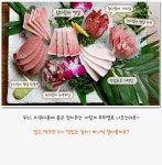 자유게시판 - 참치