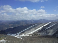 보드장소식 - 정말 시즌종료네여~