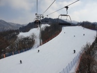 보드장소식 - 베어스타운입니다ㅋㅋ 혼잡니다