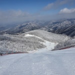 보드장소식 - 2.18일 무주입니다
